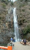 3月20日の写真です