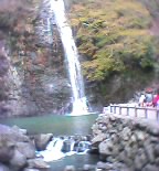 春の滝