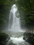 橋の上から