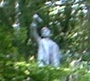 野口英世